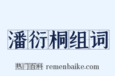 潘衍桐组词是什么意思的图片